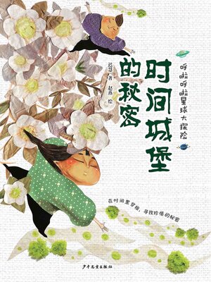 cover image of 时间城堡的秘密